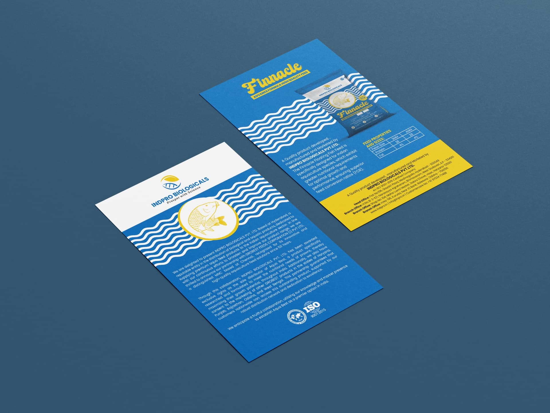 Indpro promotional flyer design by Dandora